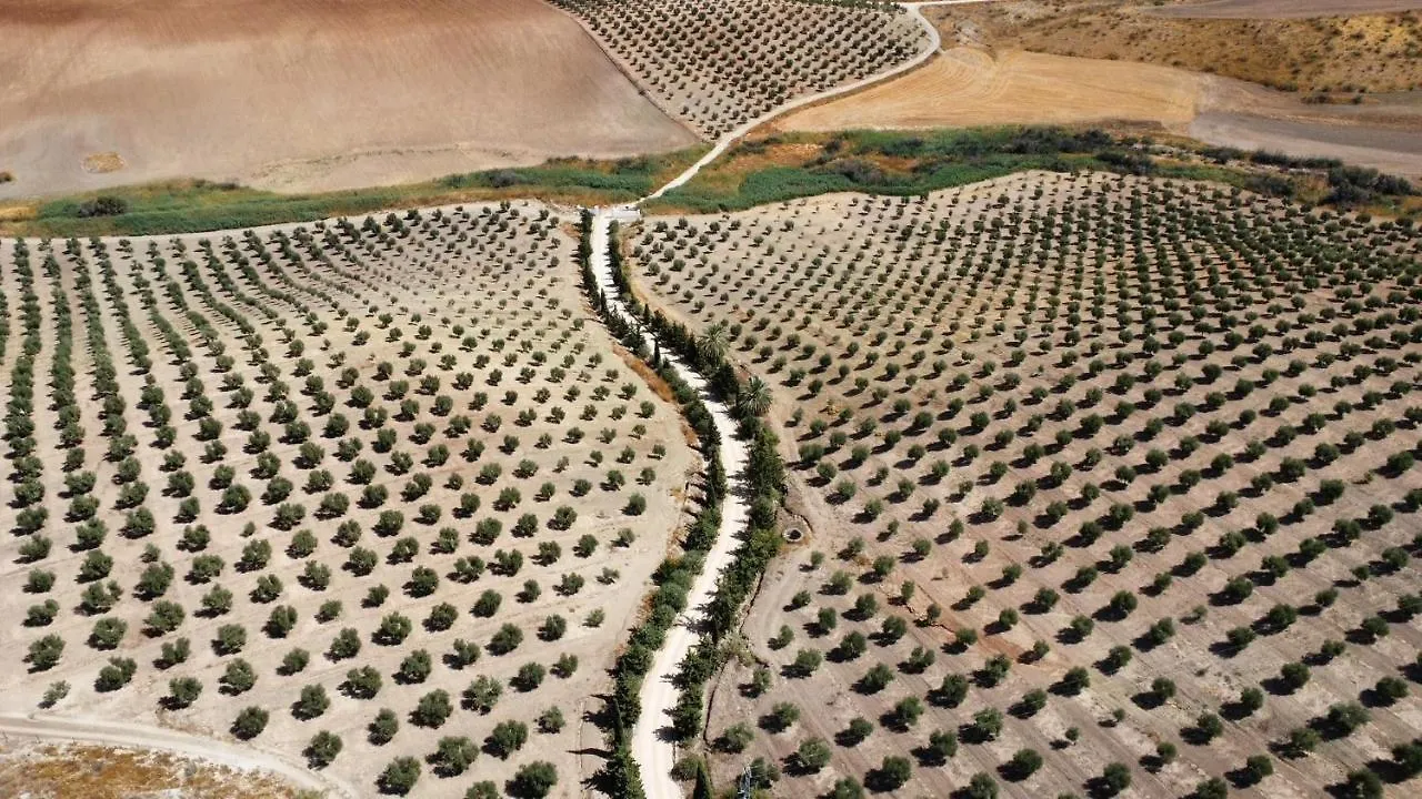 Cortijo Donana Villa La Puebla de Cazalla 0*,  Spain